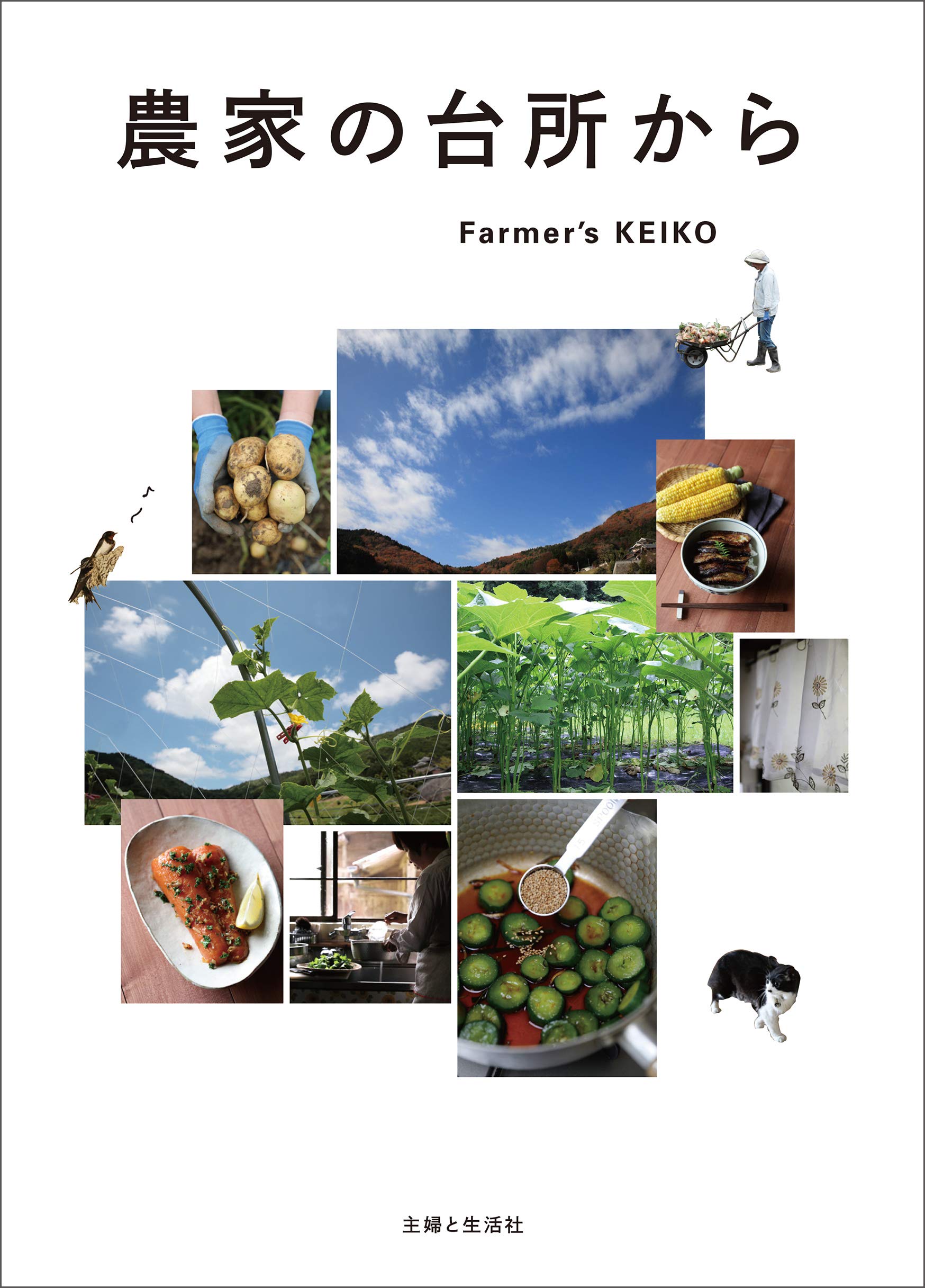 農家の台所から | Farmer's KEIKO |本 | 通販 | Amazon